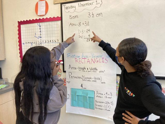 Volunteer and student 3